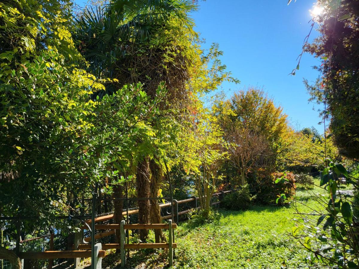Bella Vista Lago Maggiore Ghiffa Bagian luar foto