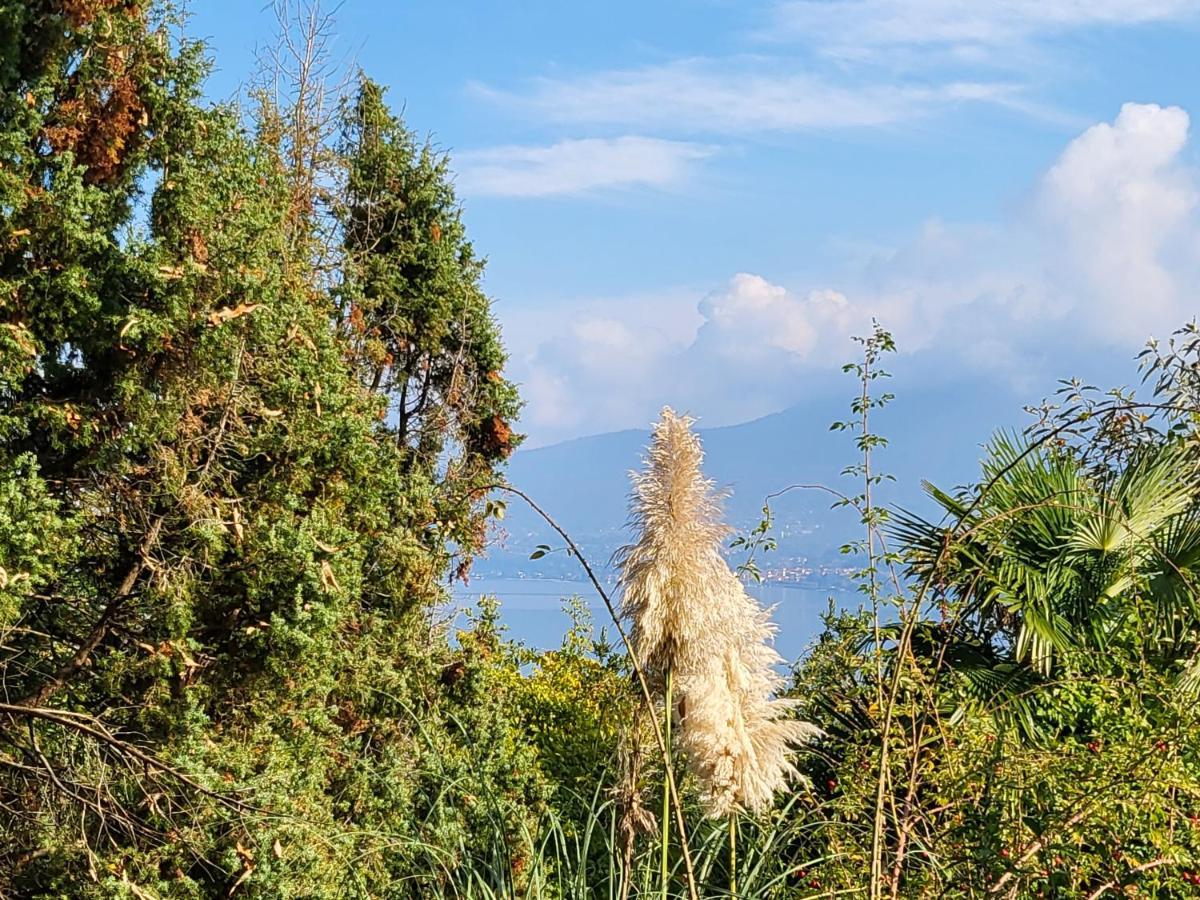 Bella Vista Lago Maggiore Ghiffa Bagian luar foto